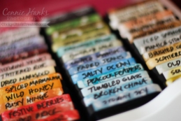 Connie Hanks Photography // ClickyChickCreates.com // how I store my Tim Holtz Distress Ink collection! Used mailing labels cut in half, inked with color and labeled!
