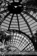 Connie Hanks Photography // ClickyChickCreates // Balboa Park Botanical Building