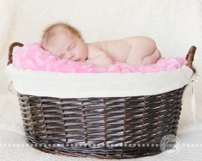 Connie Hanks Photography // ClickyChickCreates.com // baby girl newborn photo session - sleeping baby