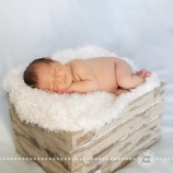 Connie Hanks Photography // ClickyChickCreates.com // baby boy newborn photo session - sleeping baby