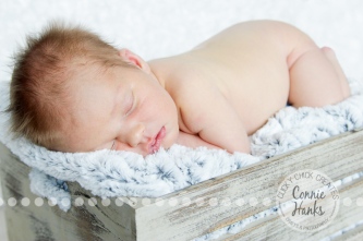 Connie Hanks Photography // ClickyChickCreates.com // San Diego newborn photography, family photo session, family photography, baby boy