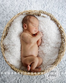 Connie Hanks Photography // ClickyChickCreates.com // newborn, San Diego newborn photography, family photo session, family photography, baby boy, siblings, multi-generational